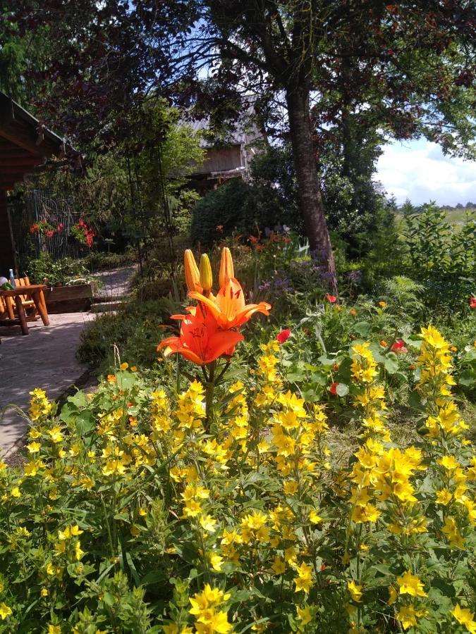 Au Paradou Du Bucheron Adults Only Lessive Bagian luar foto