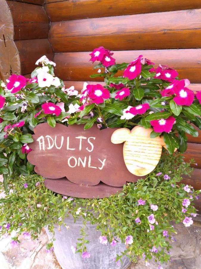 Au Paradou Du Bucheron Adults Only Lessive Bagian luar foto